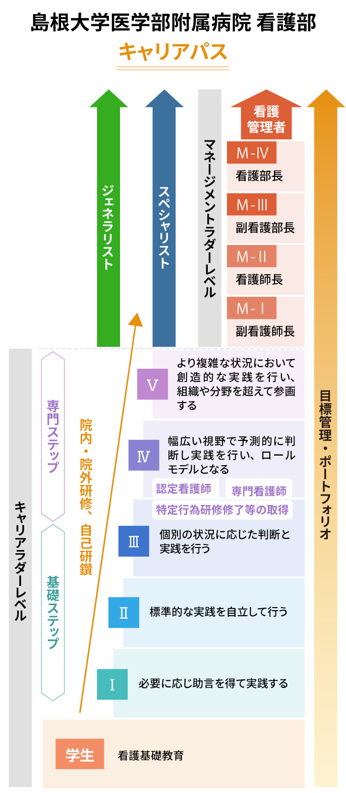 島根大学医学部附属病院 看護部のキャリアパスを示す図。キャリアは「ジェネラリスト」「スペシャリスト」「看護管理者」に分かれ、各キャリアの進行ステップが視覚的に示されている。